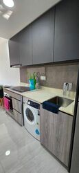 Riverfront Residences (D19), Apartment #480647161